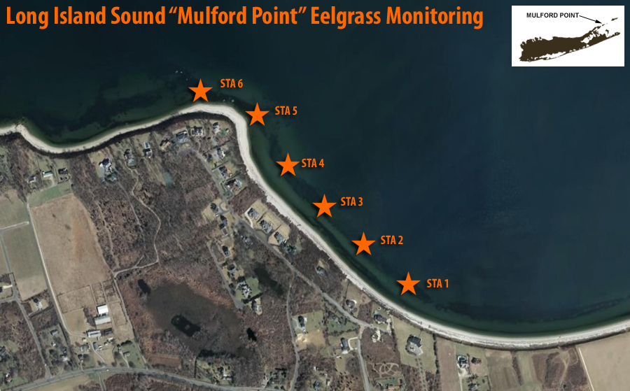Mulford Point, Long Island Sound Eelgrass Monitoring Statoins