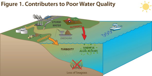 Water Quality Diagram
