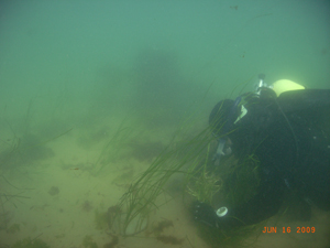 CCE diver conducting rock plantings